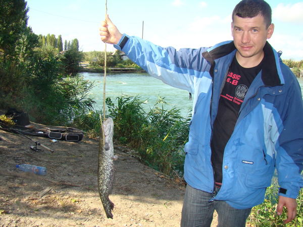 Борис Попов