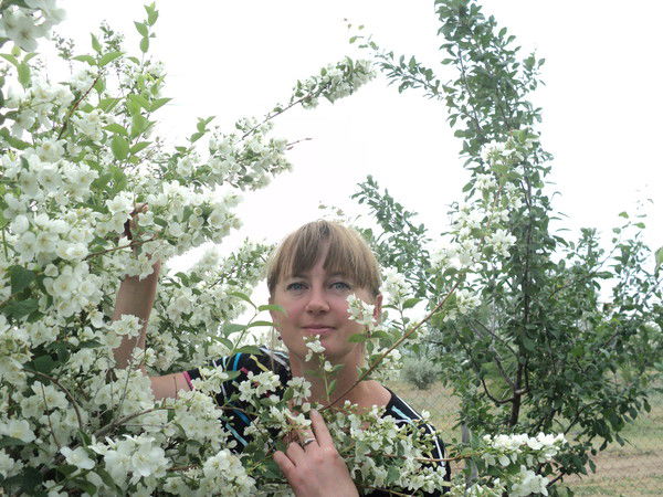 Наталья Комарова