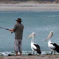 Наталья Сафронова