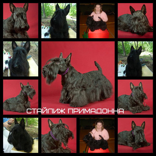 Евгения Осипенко