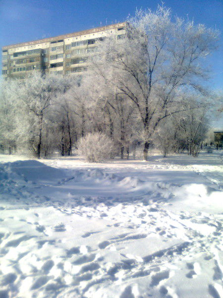 Райла Шишадская