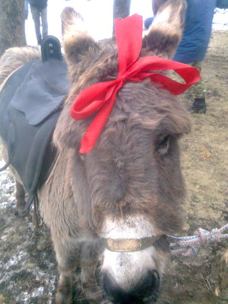 Дмитрий Глушко