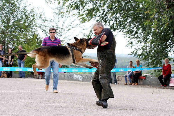 Вадим Спиридонов