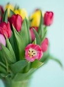 Жулдуз Бакенова