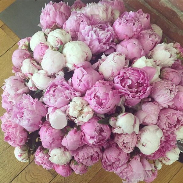 Областная Детская Больница