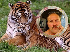 Сергей Степанов