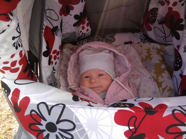 Елена Огиевич