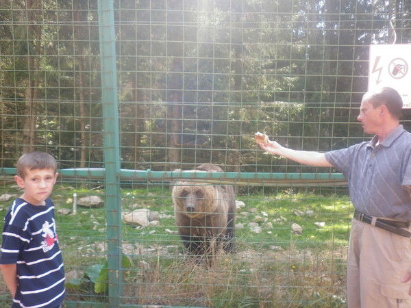 Игорь Бреславський