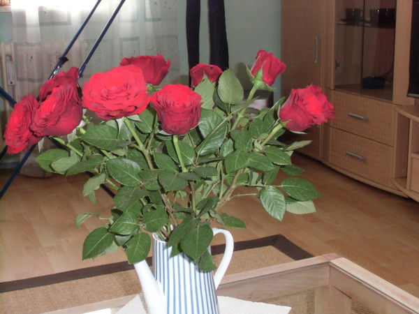 Натали Натали