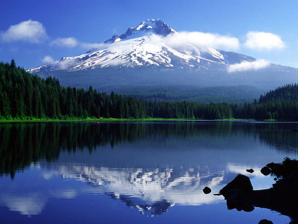 Мария Мурзина