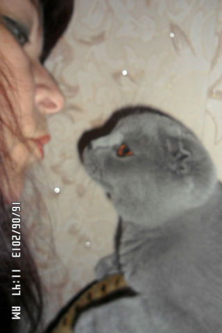 Лилия Елисеева