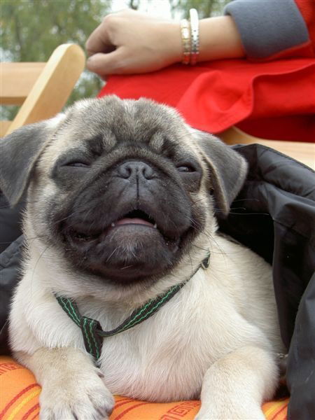 Мария Тишина