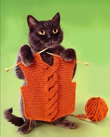 Ольга Юрова