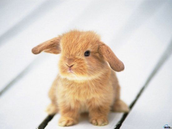 Виталxd Марков..