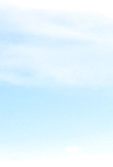 Елена Головань