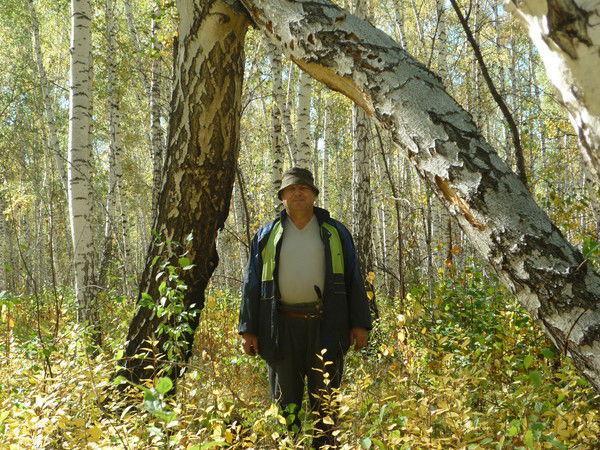 Николай Сурков