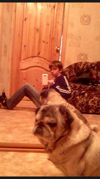 Никита Корабликов