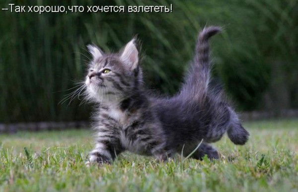 Ирина Папсуева