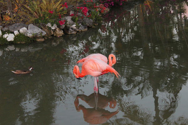 Ирина Заводнова