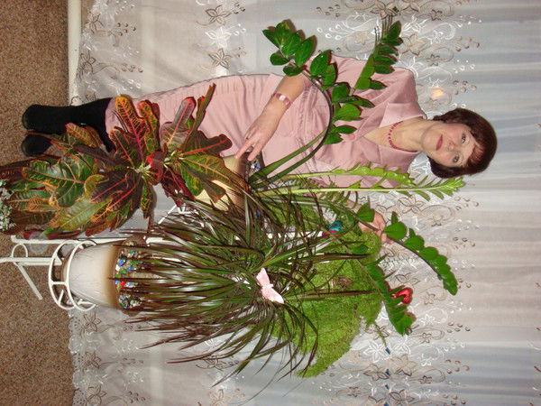 Елена Белова