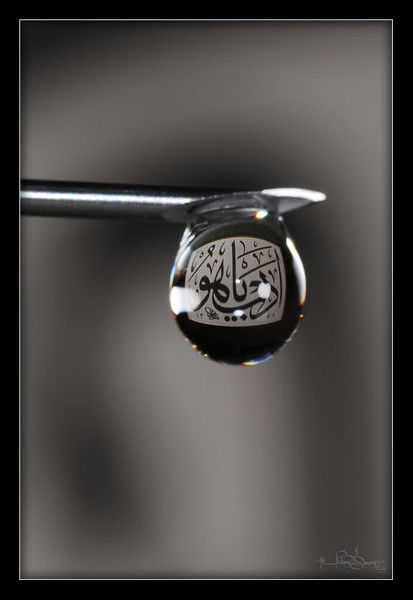 Жибек Жусупова