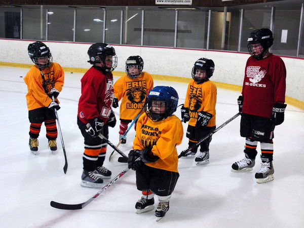 Елена Гауцель