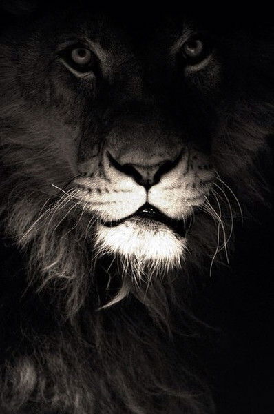 Сакен Карашин