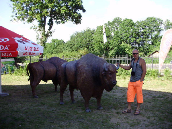 Юрий Миронич