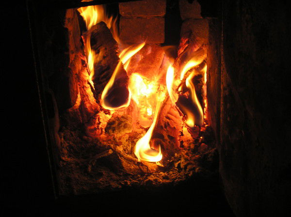 Марина Сутырина