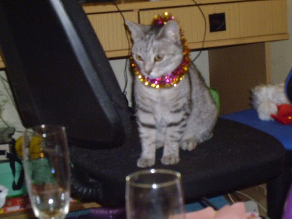 Светлана Сырова