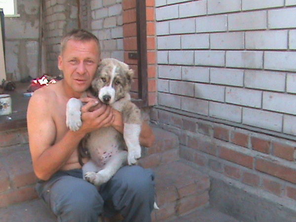 Виталий Фиценко