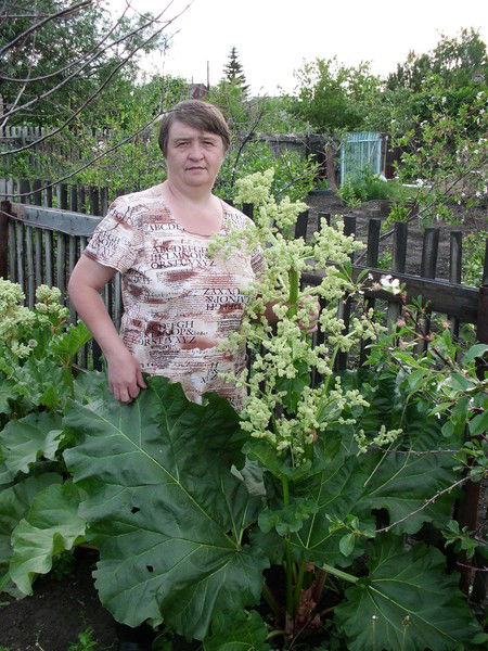 Светлана Пецура