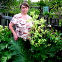 Светлана Пецура