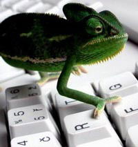 Дмитрий Ebraia