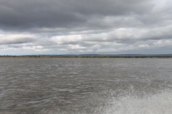 Виктория Трофимова