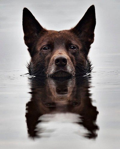 Евгения Hazri