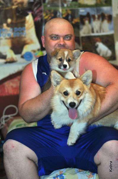 Алексей Крашенинников