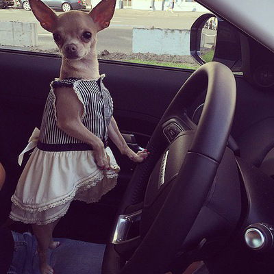 София Костенюк