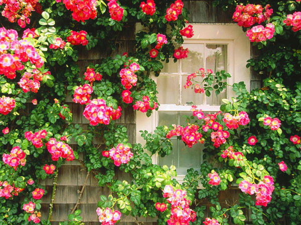 Сабина Гусейнова