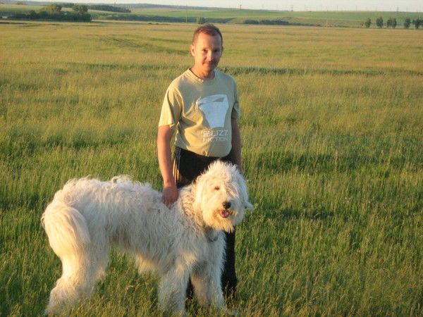 Владимир Сучков