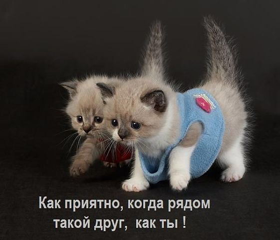 Александра Сердюкова