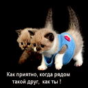 Александра Сердюкова