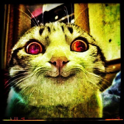 Андрей Подкорытов