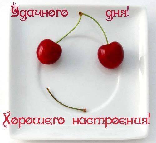 Дмитрий Сергеевич