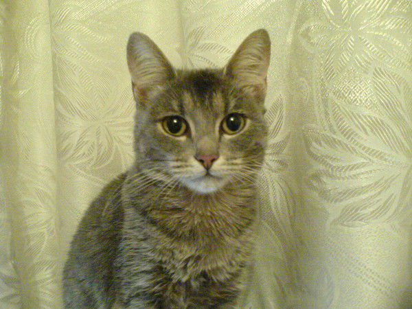 Сергей Трегубов