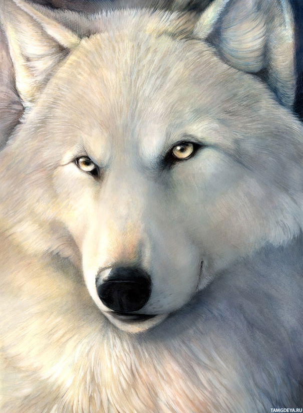 Никита Тетерин