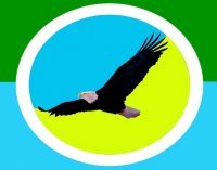 Шингаров Руслан