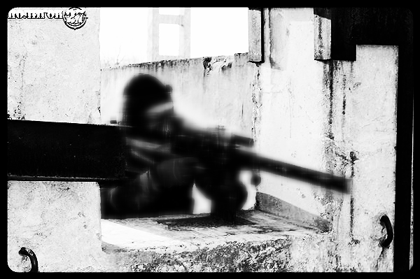 Алексей Степанов