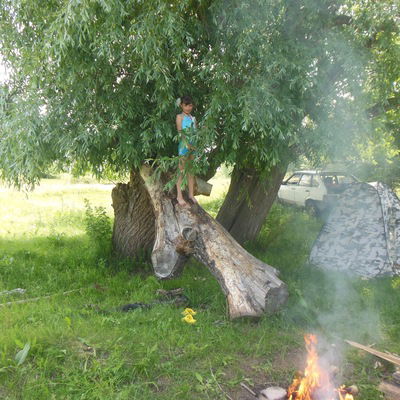 Елена Федорова