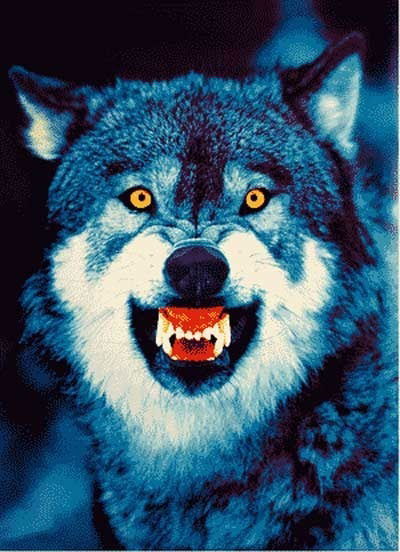 Даниил Алдонин